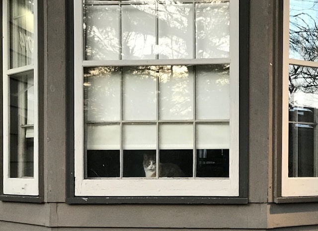 Improving Home Security with the Right Windows and Doors