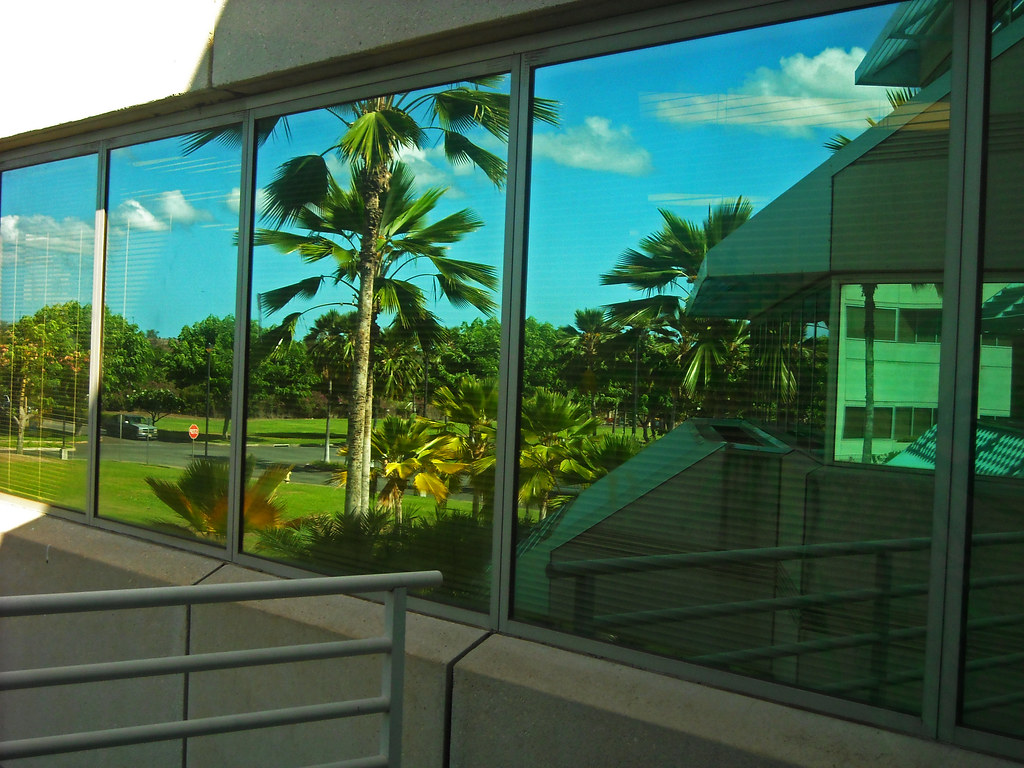 What Canadian Homes Can Learn From Florida’s Hurricane Impact Windows